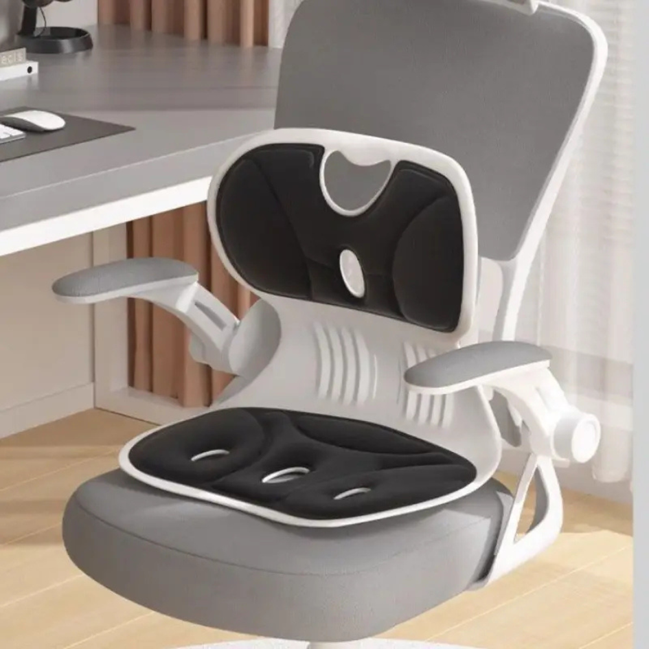 Postura™ Orthopedic Lumbar Cushion