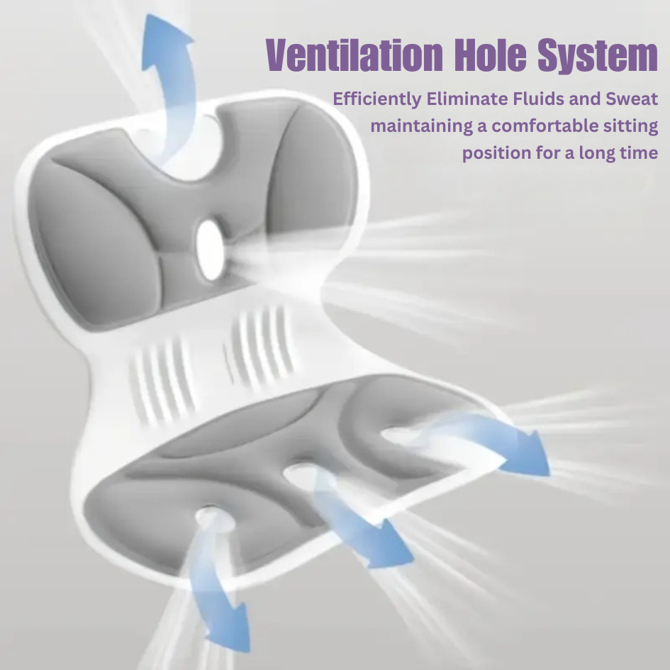 Postura™ Orthopedic Lumbar Cushion