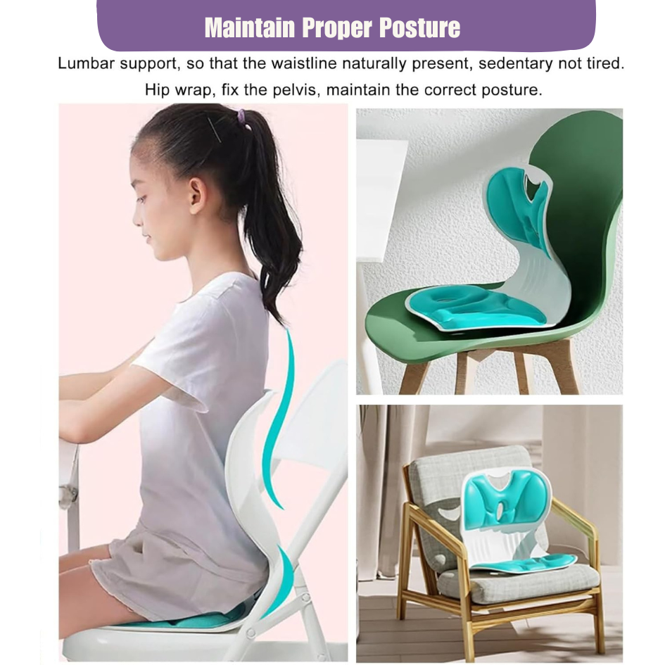 Postura™ Orthopedic Lumbar Cushion